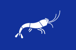 野生海虾